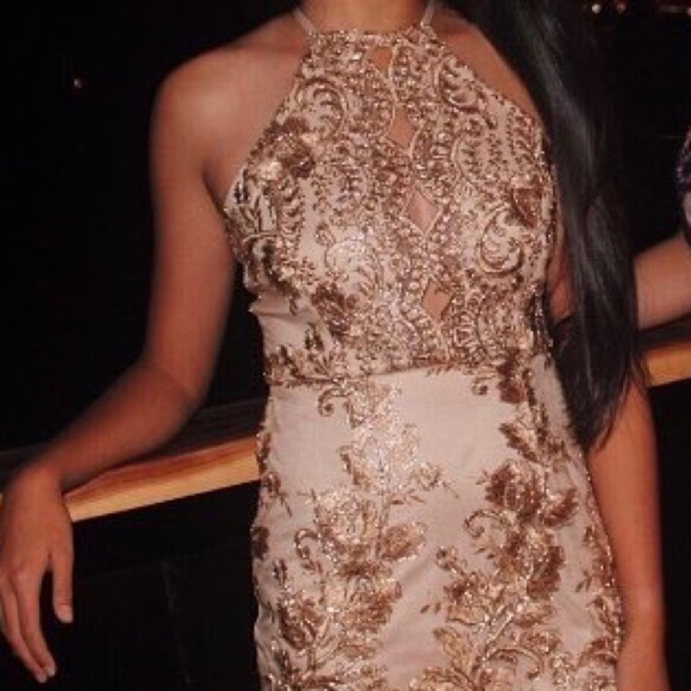 Tiger mist dress